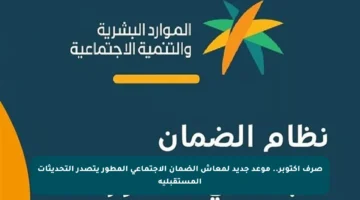 صرف أكتوبر.. موعد جديد لمعاش الضمان الاجتماعي المطور يتصدر التحديثات المستقبلية